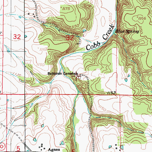 Topographic Map of Bohanon Cemetery, MO