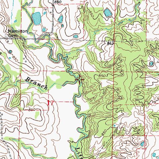 Topographic Map of Bone Branch, MO