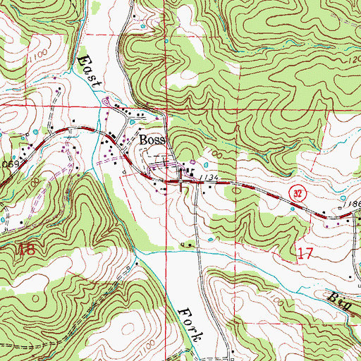 Topographic Map of Boss, MO
