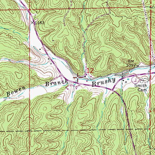 Topographic Map of Bowen Branch, MO
