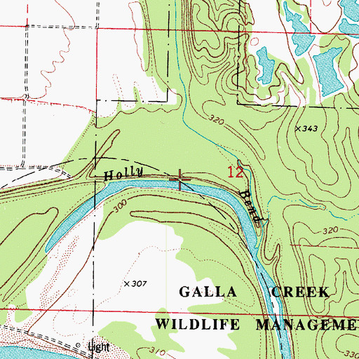 Topographic Map of Holla Bend, AR