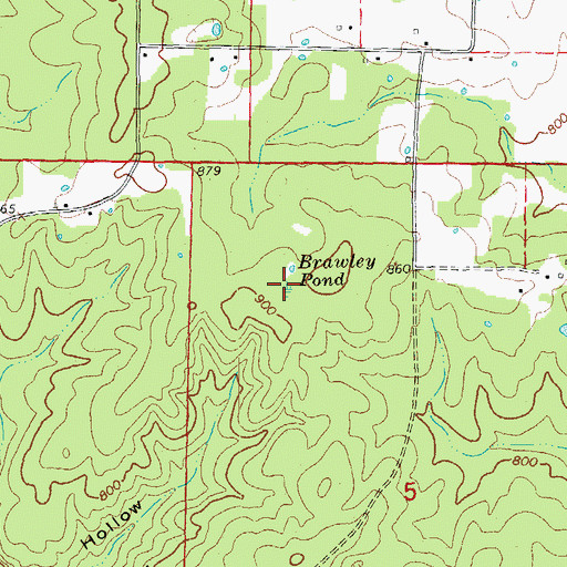 Topographic Map of Brawley Pond, MO