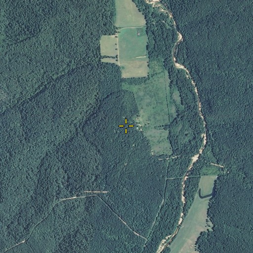 Aerial/Satellite Image of Brazil, MO