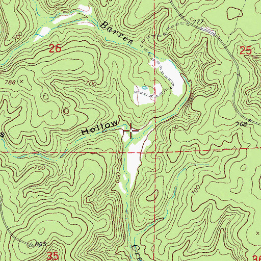 Topographic Map of Bridges Hollow, MO