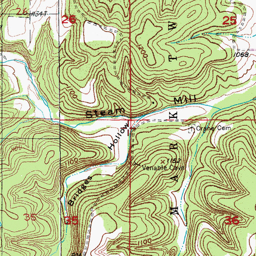 Topographic Map of Bridges Hollow, MO