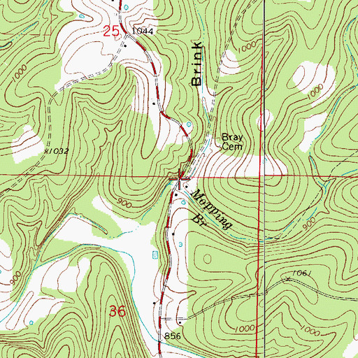 Topographic Map of Brink Hollow, MO