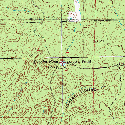 Topographic Map of Brooks Pond, MO
