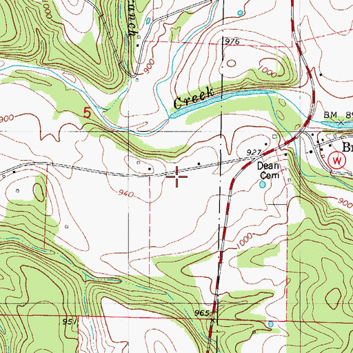 Topographic Map of Brown Branch, MO