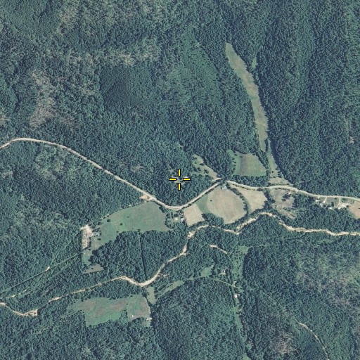 Aerial/Satellite Image of Brown Cemetery, MO