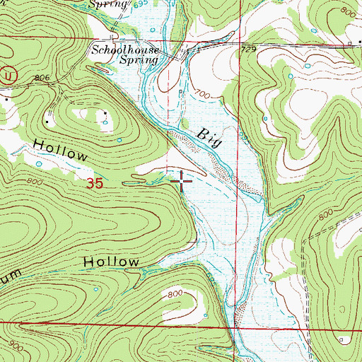 Topographic Map of Brown Hollow, MO