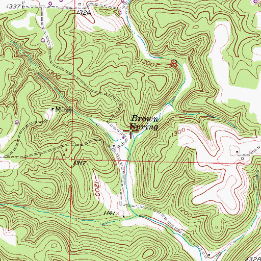Topographic Map of Brown Spring, MO
