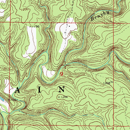 Topographic Map of Brushy Creek, MO