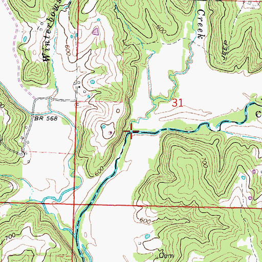 Topographic Map of Brushy Creek, MO