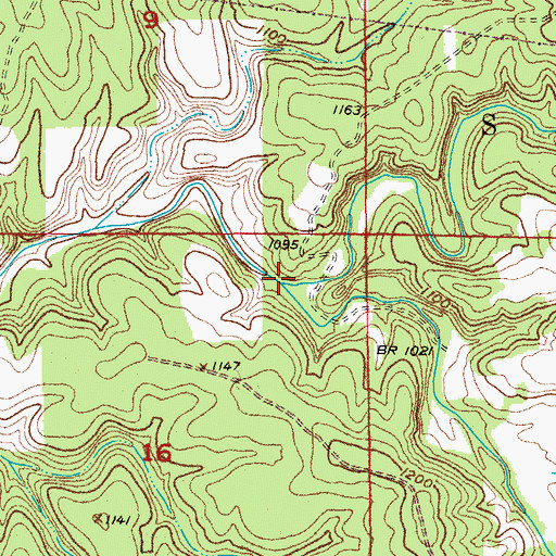 Topographic Map of Brushy Creek, MO
