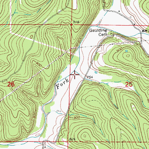 Topographic Map of Brushy Hollow, MO