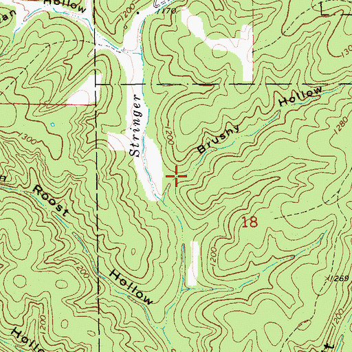 Topographic Map of Brushy Hollow, MO