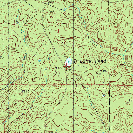 Topographic Map of Brushy Pond, MO