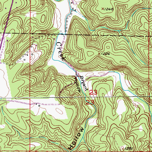 Topographic Map of Bryant Hollow, MO