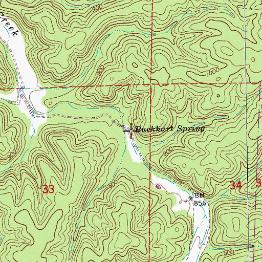 Topographic Map of Buckhart Spring, MO