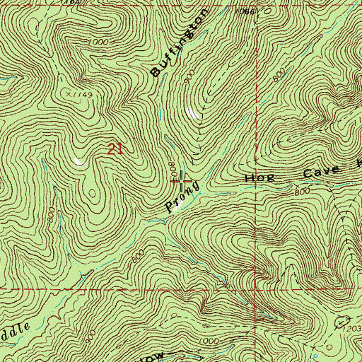 Topographic Map of Buffington Hollow, MO