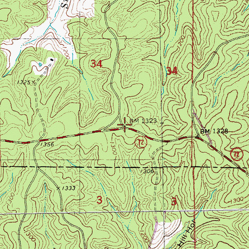 Topographic Map of Bunker Camp (historical), MO