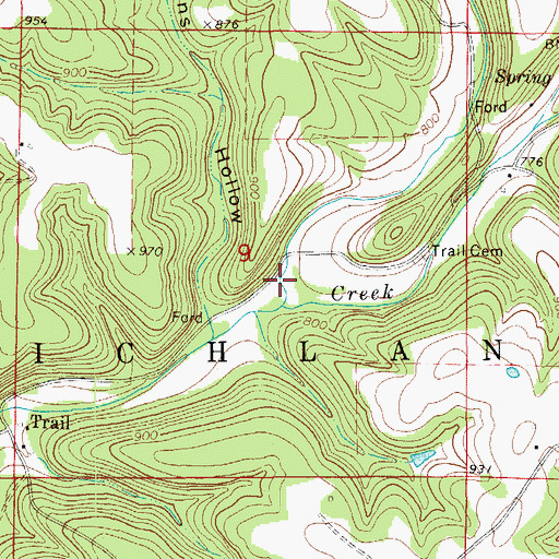 Topographic Map of Burgess Hollow, MO