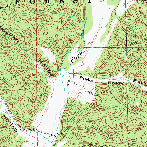 Topographic Map of Burks Hollow, MO