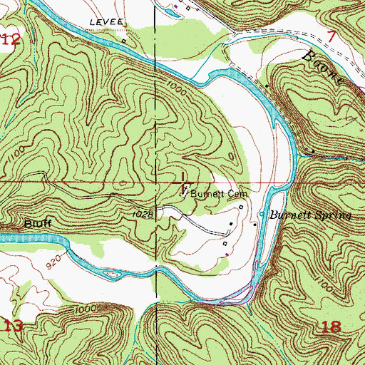 Topographic Map of Burnett Cemetery, MO
