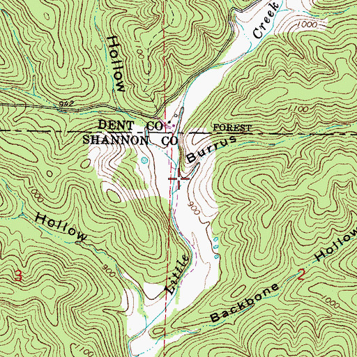 Topographic Map of Burrus Hollow, MO