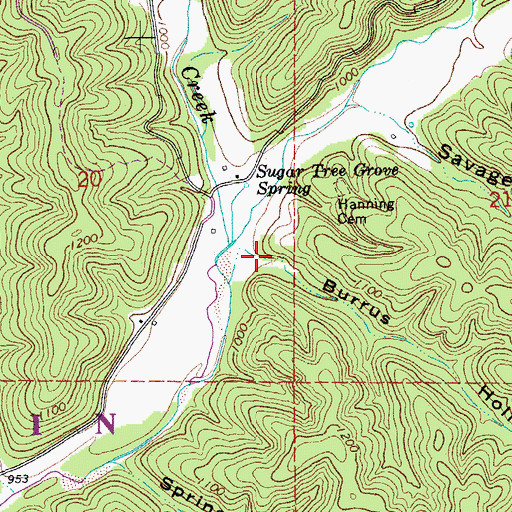 Topographic Map of Burrus Hollow, MO