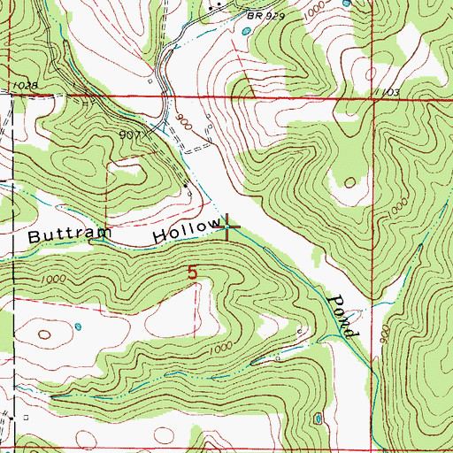 Topographic Map of Buttram Hollow, MO