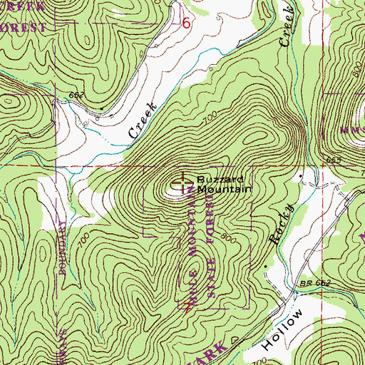 Topographic Map of Buzzard Mountain, MO