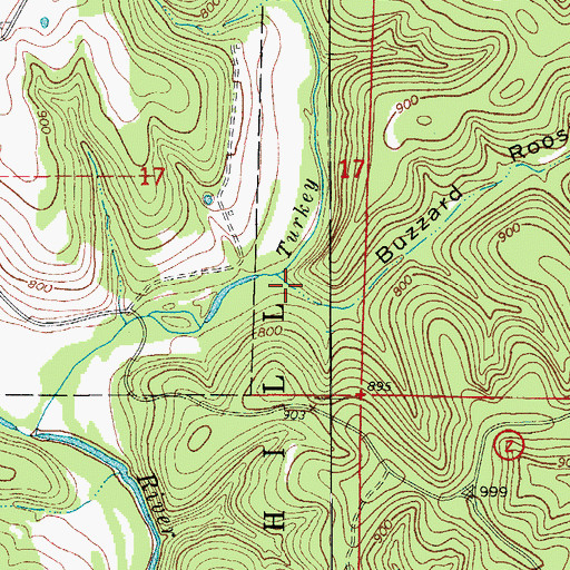 Topographic Map of Buzzard Roost Hollow, MO