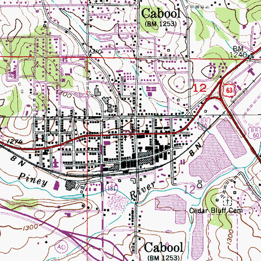 Topographic Map of Cabool, MO
