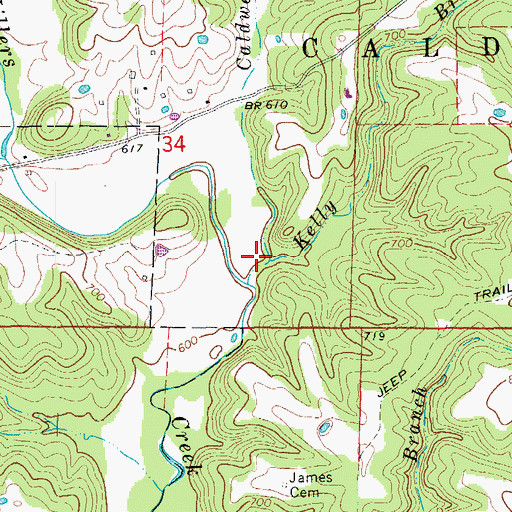 Topographic Map of Caldwell Branch, MO