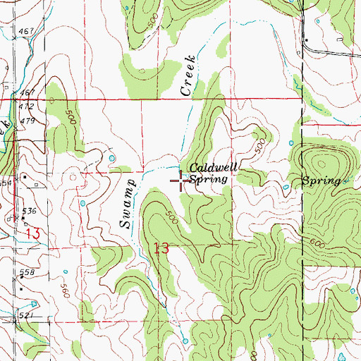 Topographic Map of Caldwell Spring, MO