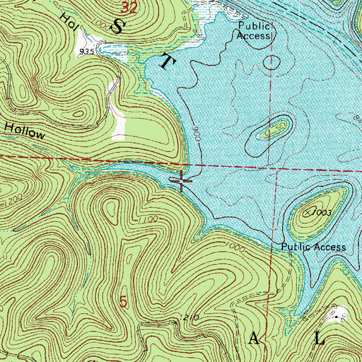 Topographic Map of Cane Hollow, MO