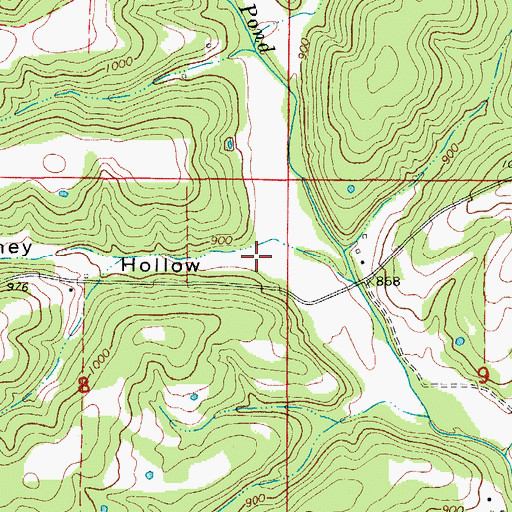 Topographic Map of Caney Hollow, MO