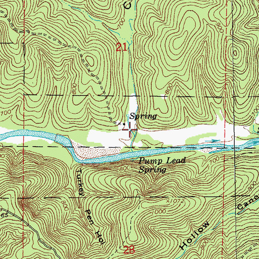 Topographic Map of Capps Hollow, MO