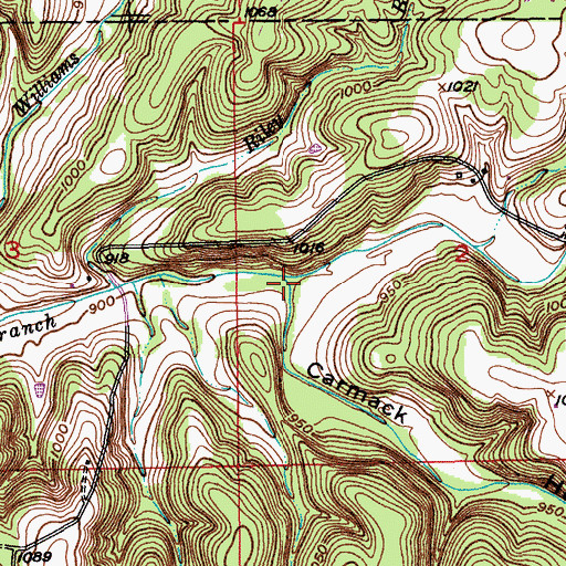 Topographic Map of Carmack Hollow, MO