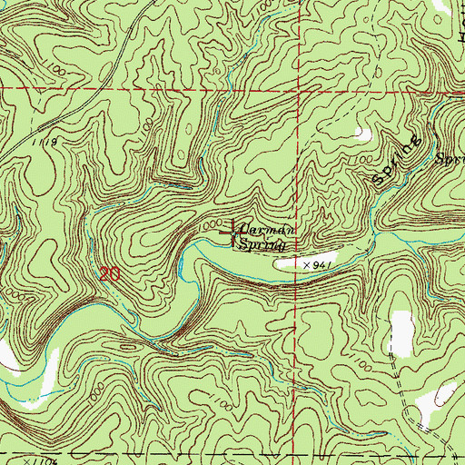 Topographic Map of Carman Spring, MO