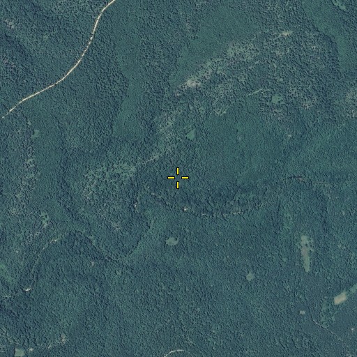 Aerial/Satellite Image of Carman Spring, MO