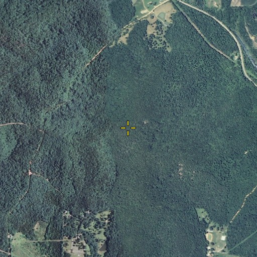 Aerial/Satellite Image of Carson Hill, MO