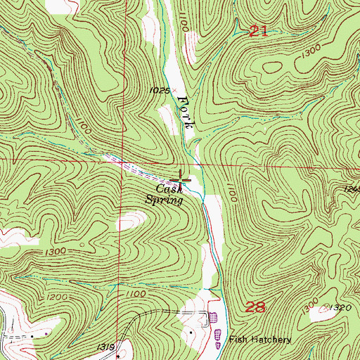 Topographic Map of Cash Spring, MO