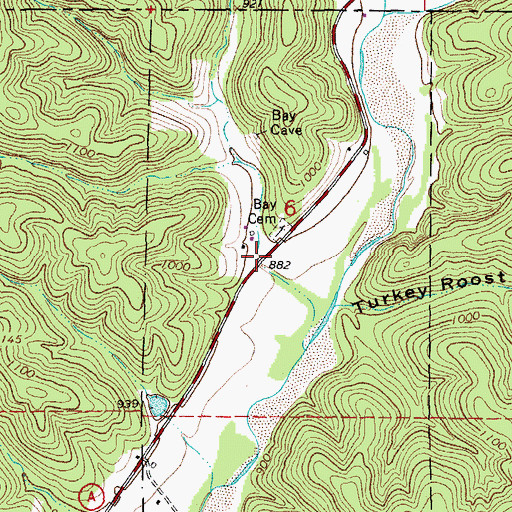 Topographic Map of Cave Branch Hollow, MO