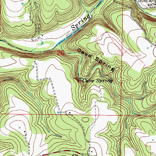 Topographic Map of Cave Spring, MO