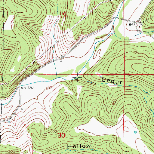 Topographic Map of Cedar Hollow, MO