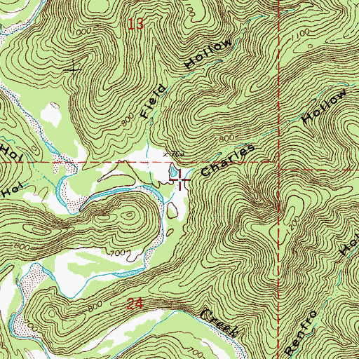 Topographic Map of Charles Hollow, MO