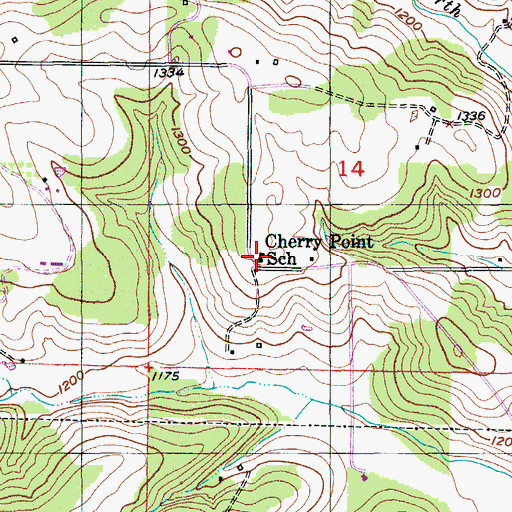 Topographic Map of Cherry Point School, MO