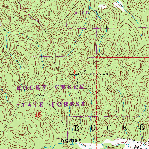 Topographic Map of Church Pond, MO